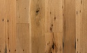 Nina Plank